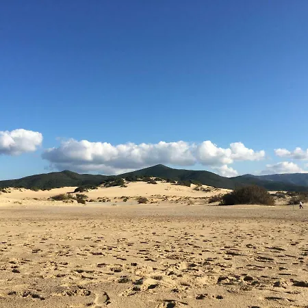 Sa Perda Marcada * Arbus