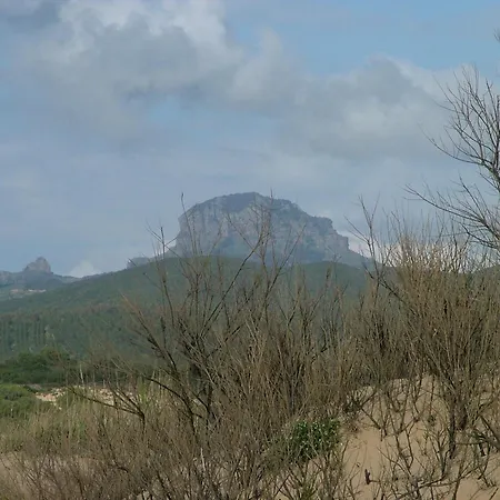 Sa Perda Marcada Arbus