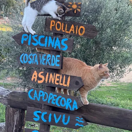 Sa Perda Marcada