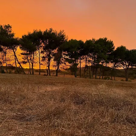 Sa Perda Marcada Alloggio per agriturismo Arbus